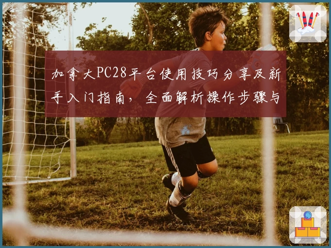 加拿大PC28平台使用技巧分享及新手入门指南，全面解析操作步骤与快捷注册流程