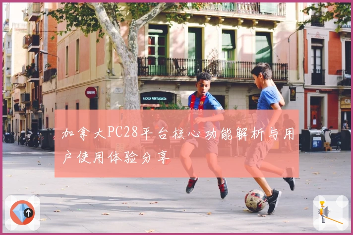 加拿大PC28平台核心功能解析与用户使用体验分享