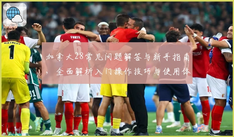 加拿大28常见问题解答与新手指南，全面解析入门操作技巧与使用体验