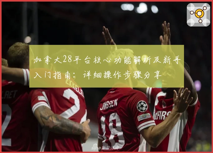 加拿大28平台核心功能解析及新手入门指南：详细操作步骤分享