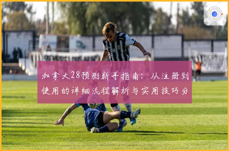 加拿大28预测新手指南：从注册到使用的详细流程解析与实用技巧分享