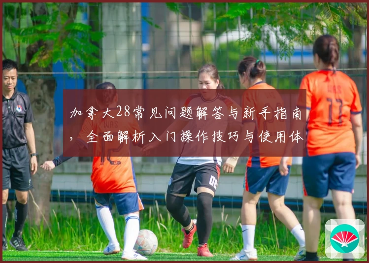 加拿大28常见问题解答与新手指南，全面解析入门操作技巧与使用体验