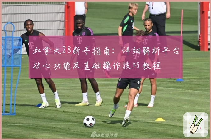 加拿大28新手指南：详细解析平台核心功能及基础操作技巧教程