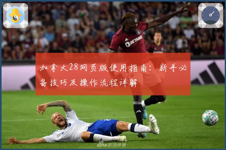 加拿大28网页版使用指南:新手必备技巧及操作流程详解