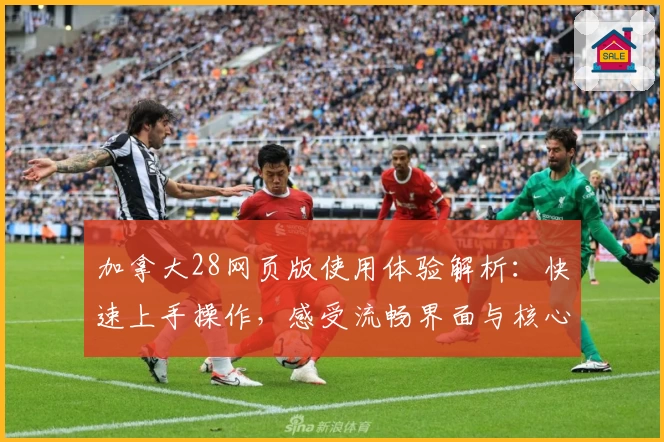 加拿大28网页版使用体验解析：快速上手操作，感受流畅界面与核心功能亮点