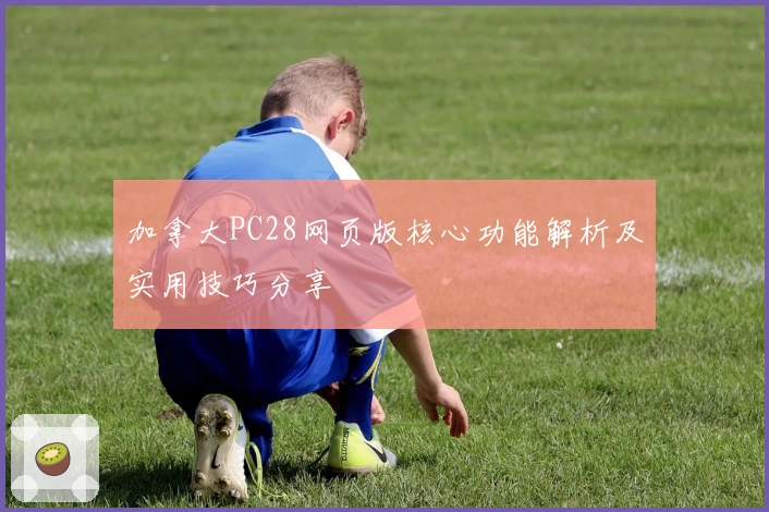 加拿大PC28网页版核心功能解析及实用技巧分享