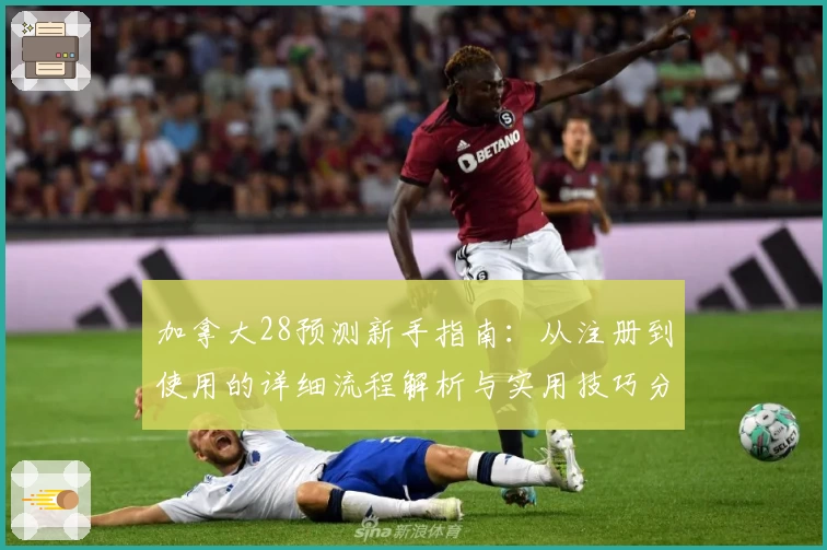 加拿大28预测新手指南：从注册到使用的详细流程解析与实用技巧分享