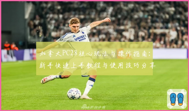 加拿大PC28核心玩法与操作指南：新手快速上手教程与使用技巧分享