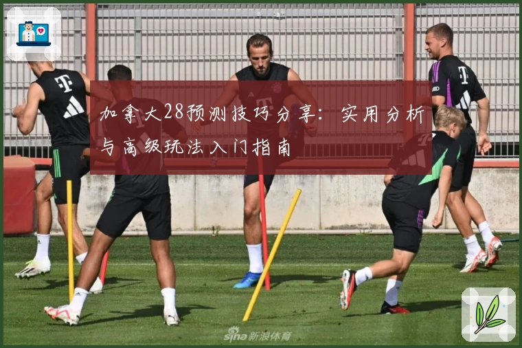加拿大28预测技巧分享：实用分析与高级玩法入门指南