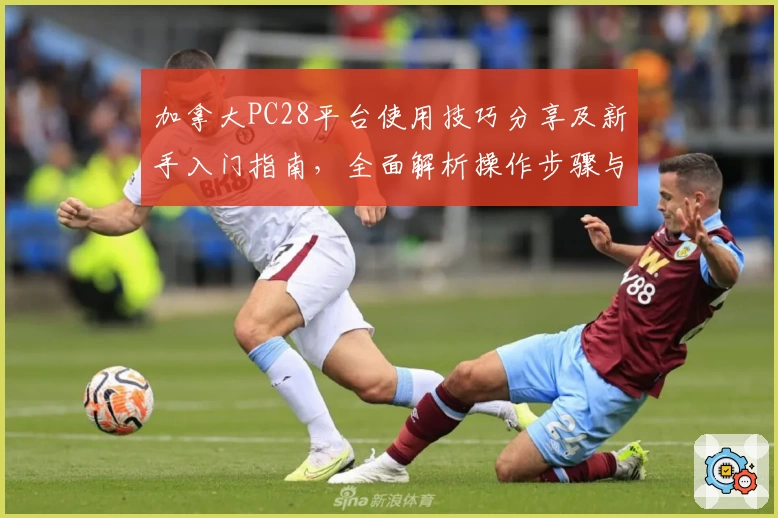 加拿大PC28平台使用技巧分享及新手入门指南，全面解析操作步骤与快捷注册流程